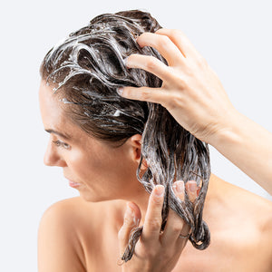 Duo Șampon & Balsam Păr Gras