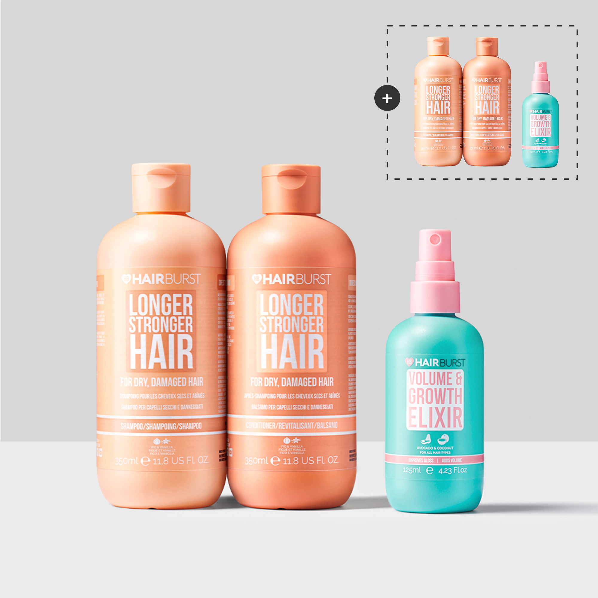 Set Reparare & Volum (Păr Degradat/Uscat)