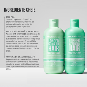 Set format din șampon și balsam pentru păr gras