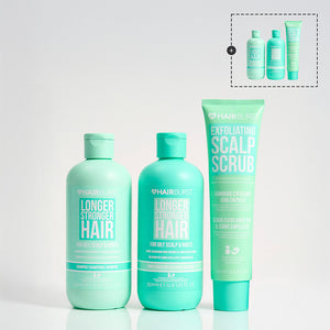 Set Purificare & Echilibrare (Pentru Păr Gras)